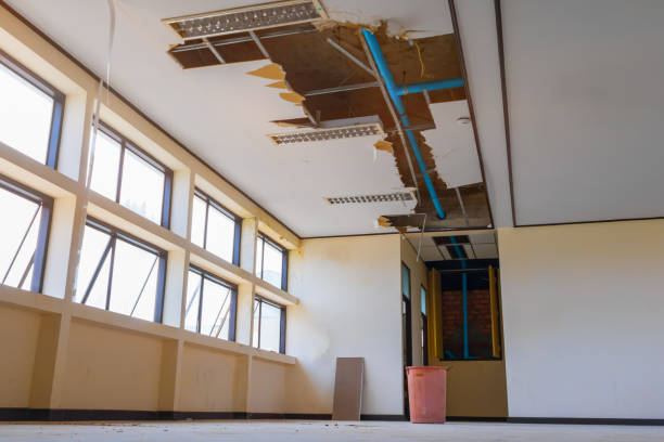 Best Professional water damage repair  in Karnes City, TX