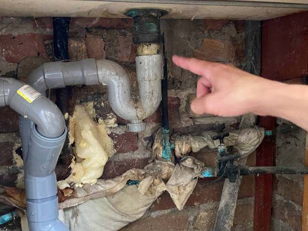 Best Flood restoration services  in Karnes City, TX