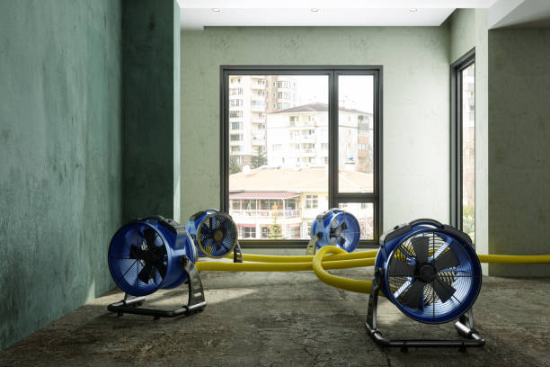 Best Basement water damage restoration  in Karnes City, TX