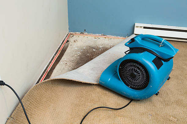 24/7 water damage repair in Karnes City, TX